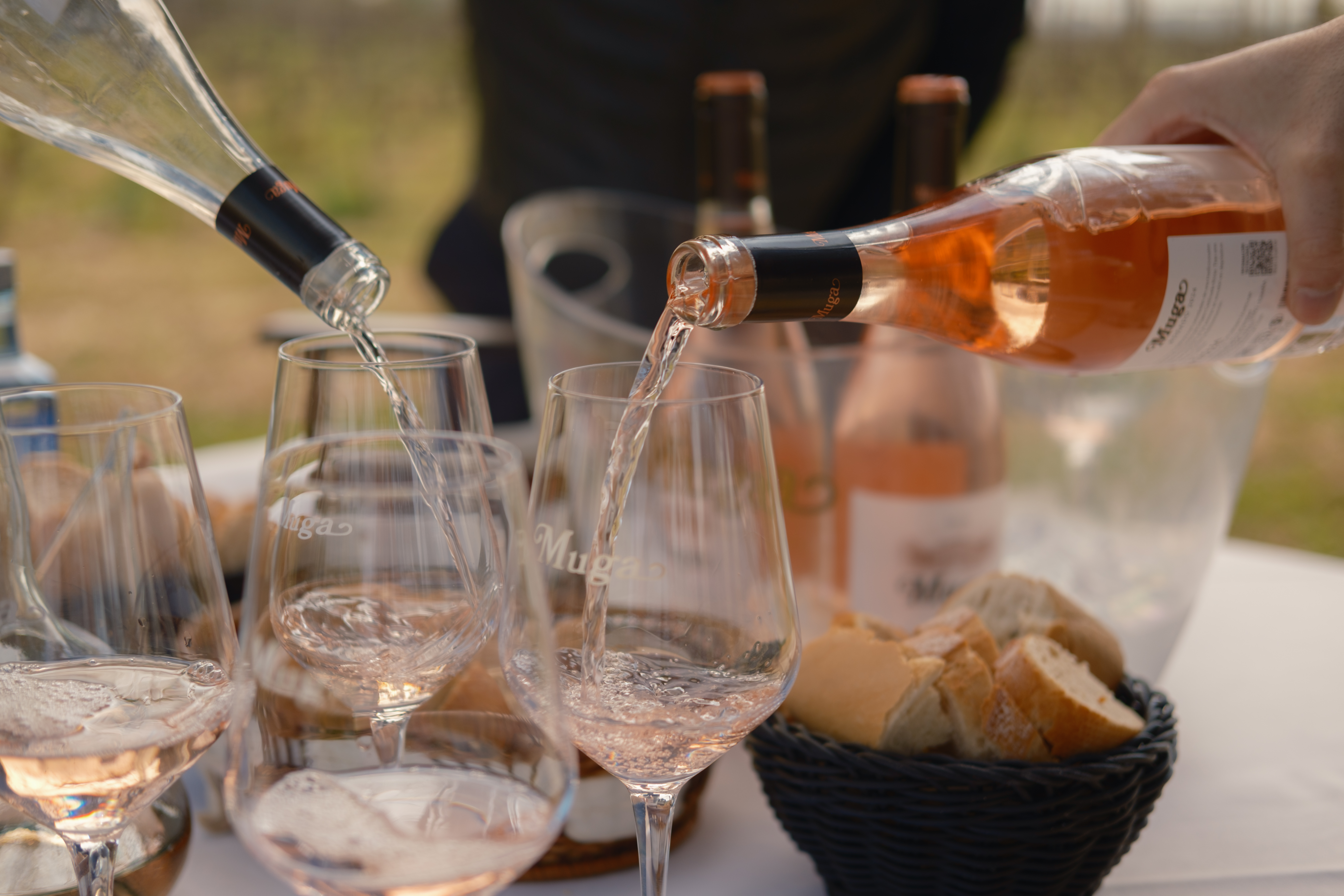 WINE TASTING